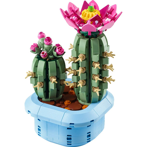 11509 Flowering Cactus