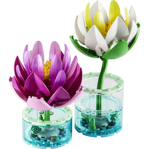 11511 Water Lilies