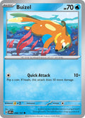 Buizel