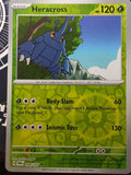 Heracross