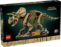 77985 Dinosaur Fossils: Triceratops