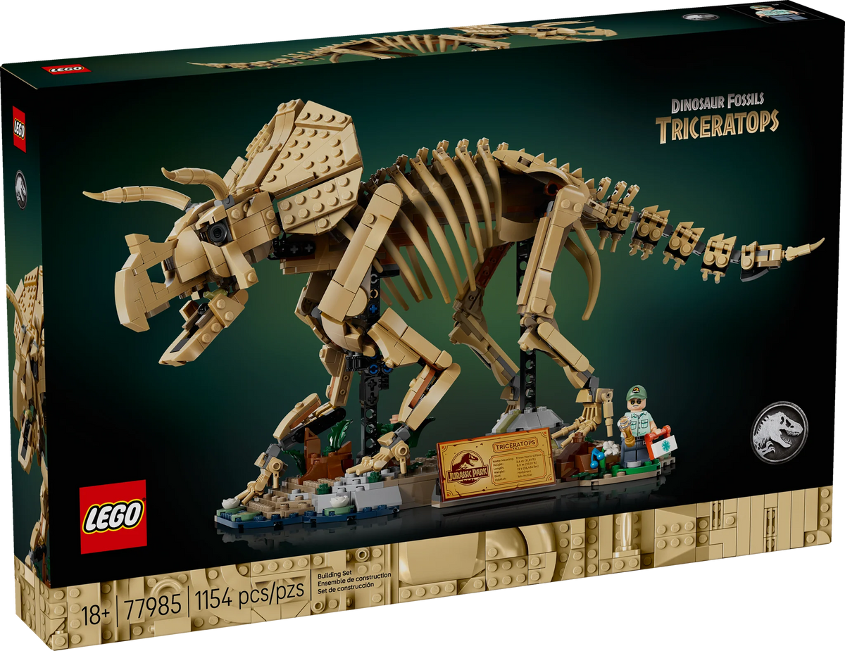 77985 Dinosaur Fossils: Triceratops