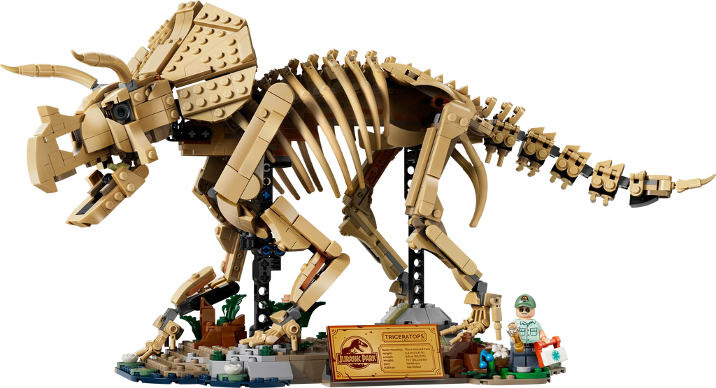 77985 Dinosaur Fossils: Triceratops