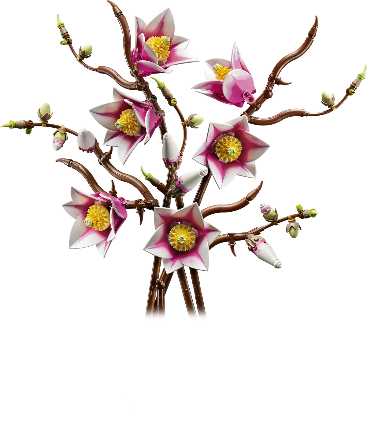 11510 Magnolia Branches