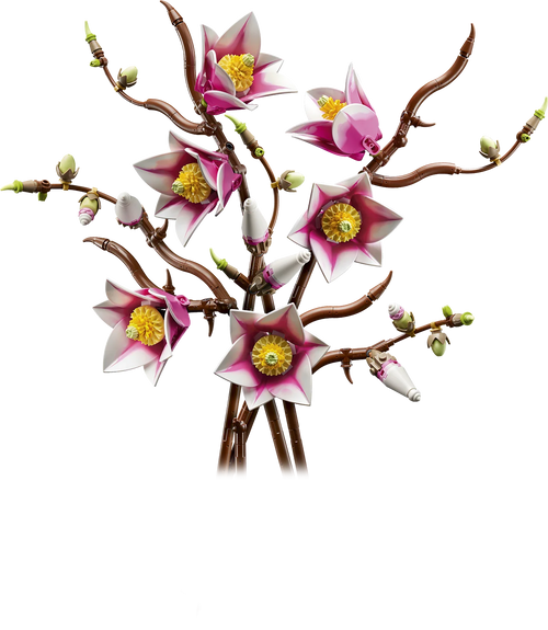 11510 Magnolia Branches